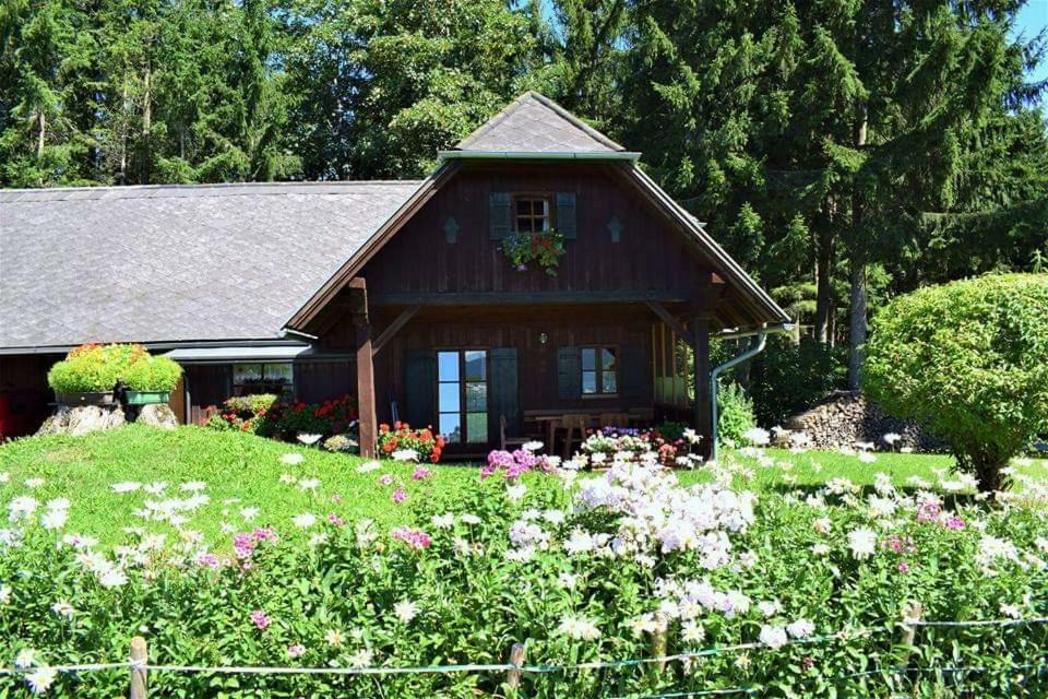 Ferienhaus Kreiner Vila Sankt Kathrein am Offenegg Exterior foto