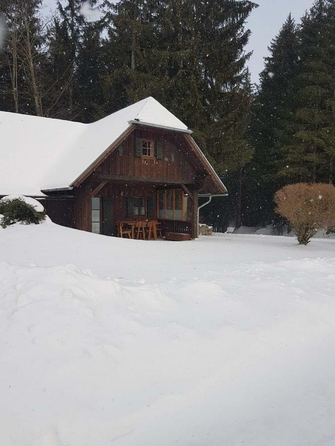 Ferienhaus Kreiner Vila Sankt Kathrein am Offenegg Exterior foto